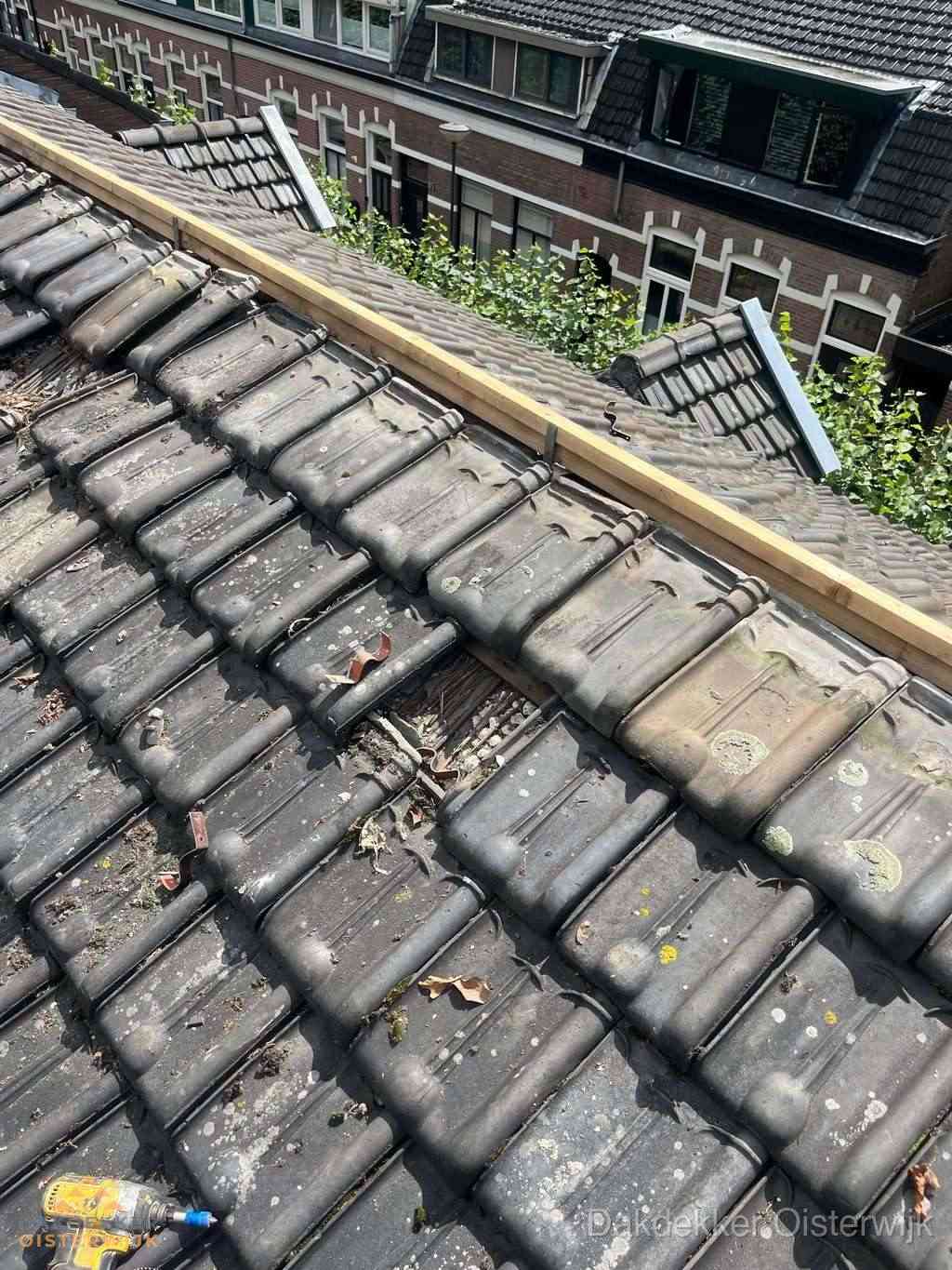Dakonderhoud Oisterwijk Dakonderhoud Oisterwijk