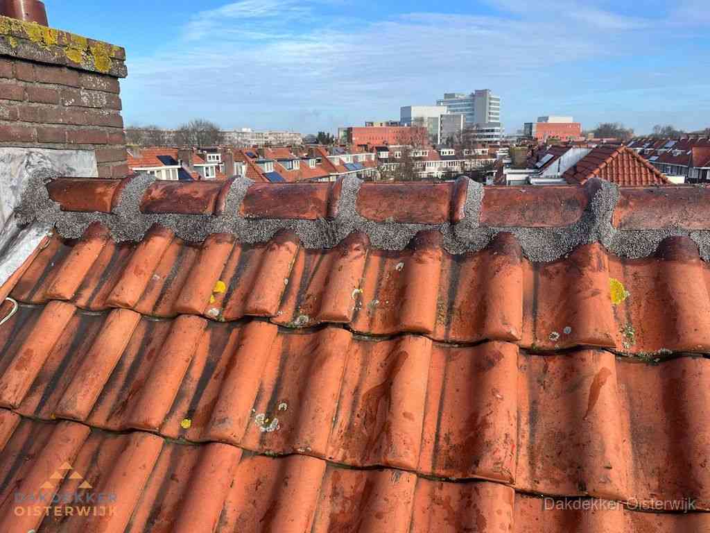 Oisterwijk Daken Renoveren Oisterwijk Daken Renoveren